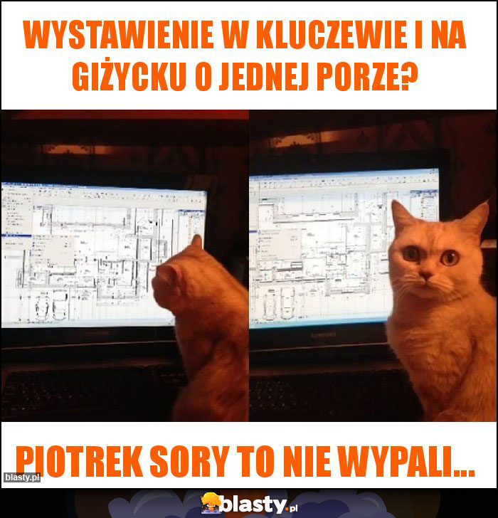 Wystawienie w Kluczewie i na Giżycku o jednej porze?