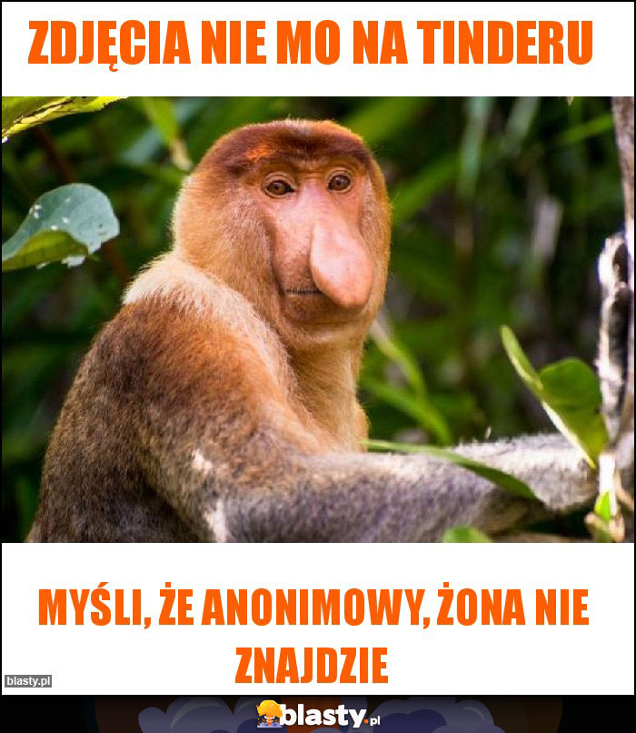 Zdjęcia nie mo na tinderu