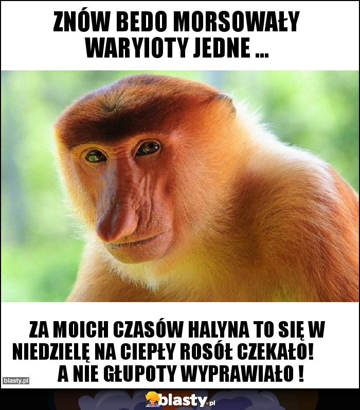 Znów bedo morsowały waryioty jedne ...