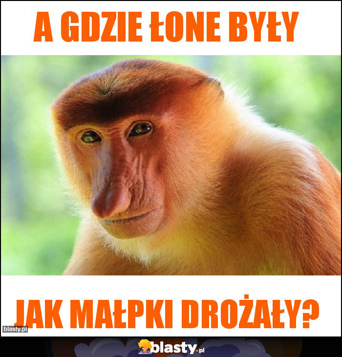 A gdzie łone były
