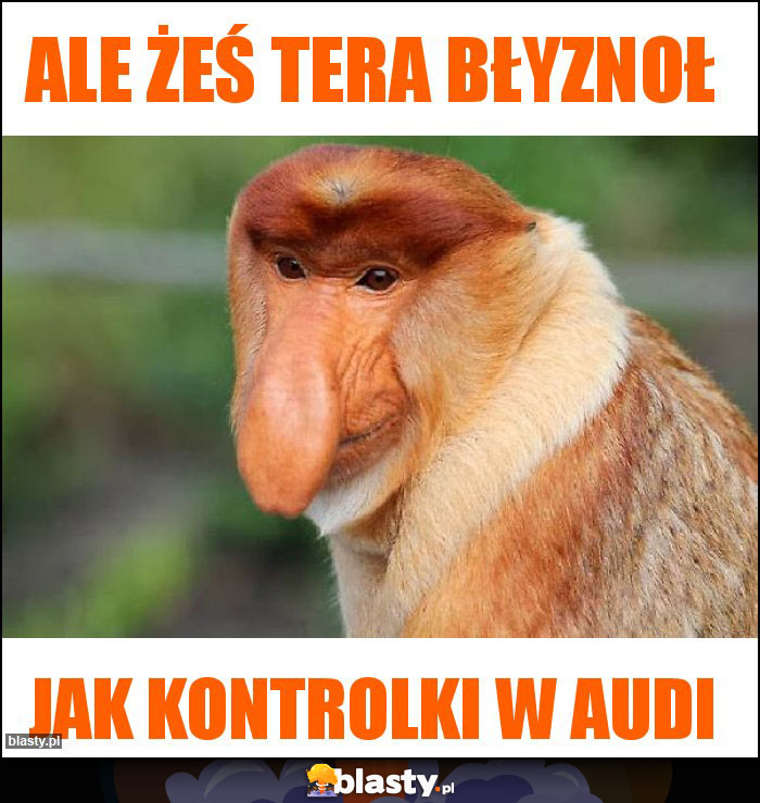 Ale żeś tera błyznoł