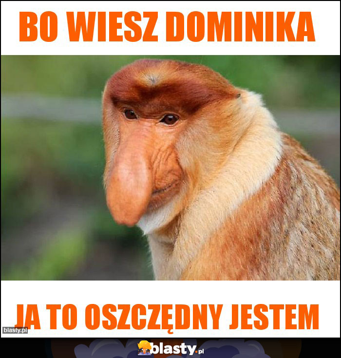 Bo wiesz Dominika