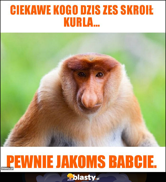 Ciekawe kogo dzis zes skroił kurla...