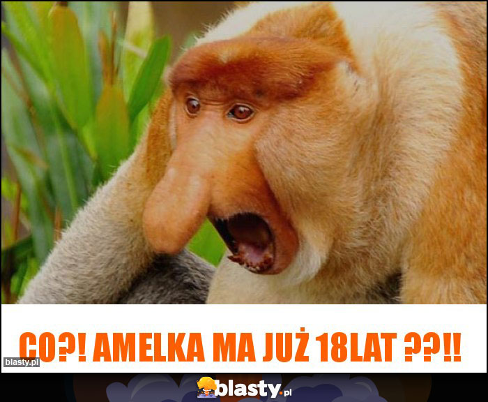 Co?! Amelka ma już 18lat ??!!