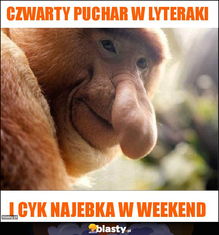Czwarty puchar w lyteraki