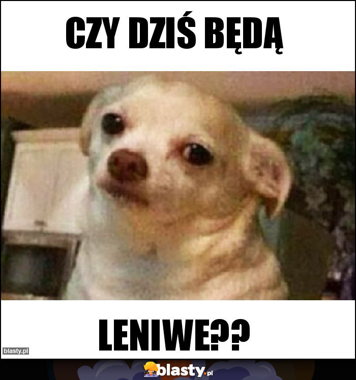 Czy dziś będą