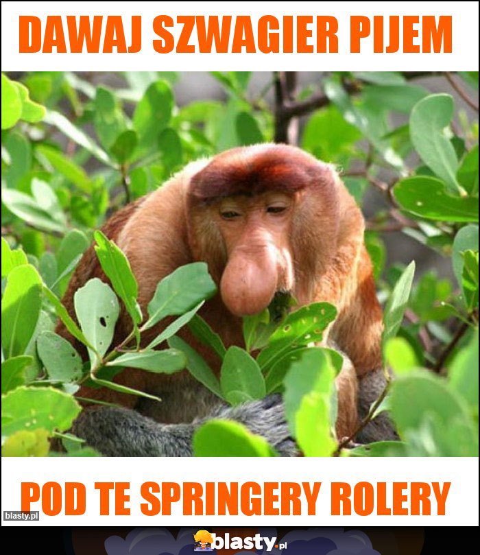 Dawaj szwagier pijem