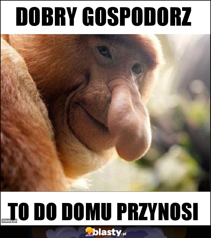Dobry gospodorz