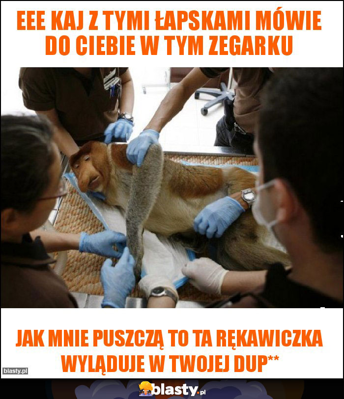 eee kaj z tymi łapskami mówie do ciebie w tym zegarku