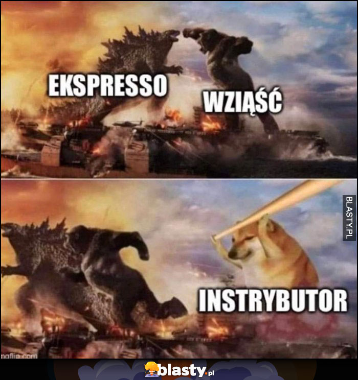 Ekspresso vs wziąść instrybutor pies pieseł doge