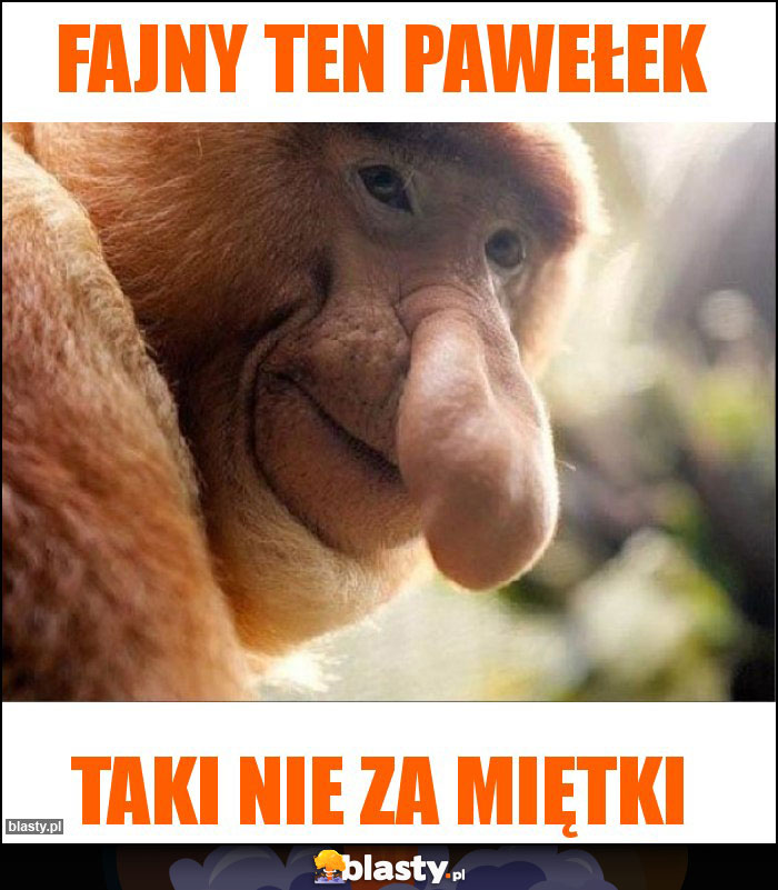 Fajny ten pawełek