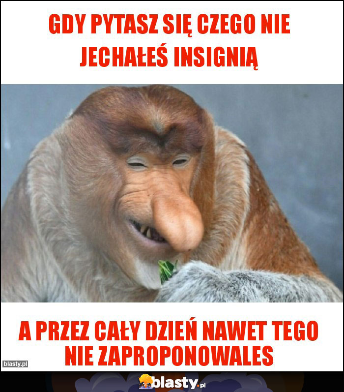 Gdy pytasz się czego nie jechałeś Insignią