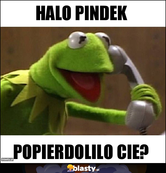 Halo pindek