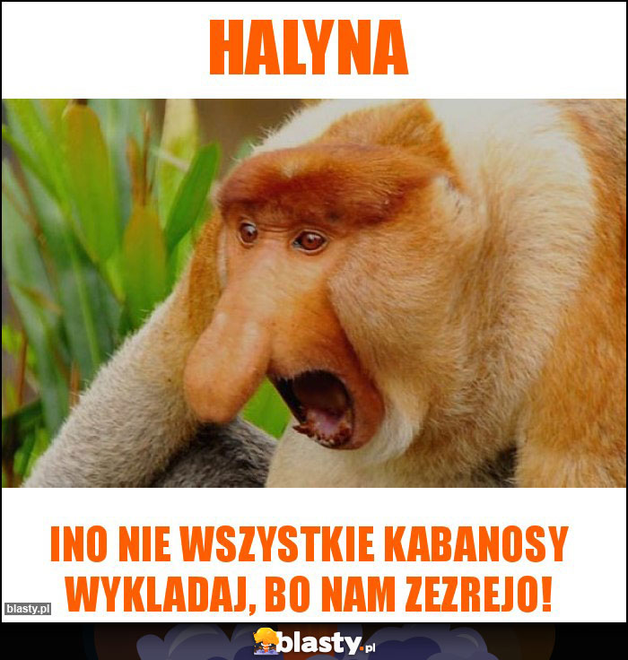 Halyna