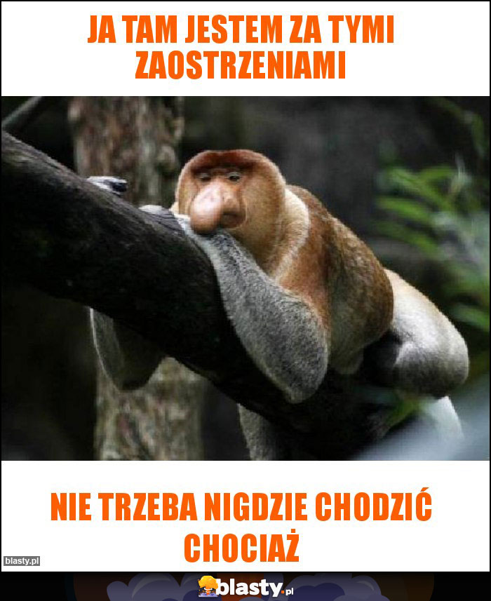 Ja tam jestem za tymi zaostrzeniami