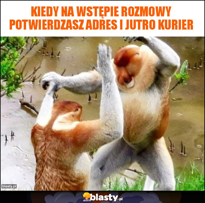 Kiedy na wstępie rozmowy potwierdzasz adres i jutro kurier