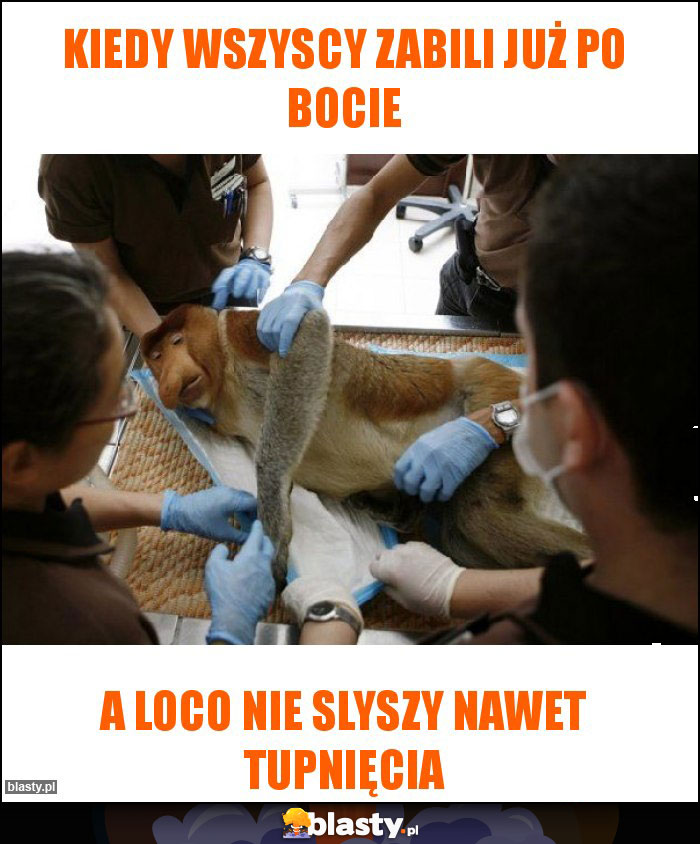 Kiedy wszyscy zabili już po bocie