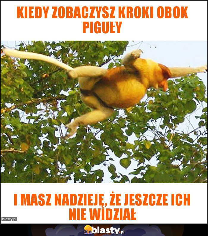 Kiedy zobaczysz kroki obok piguły