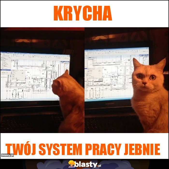 Krycha