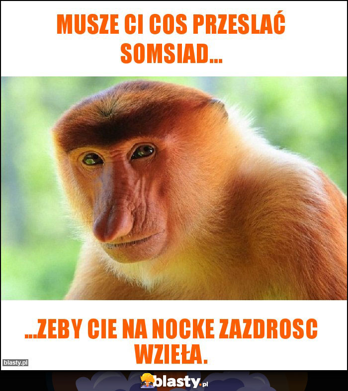 Musze Ci cos przeslać somsiad...