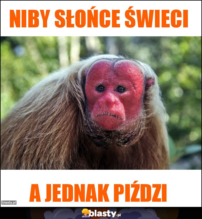 Niby słońce świeci