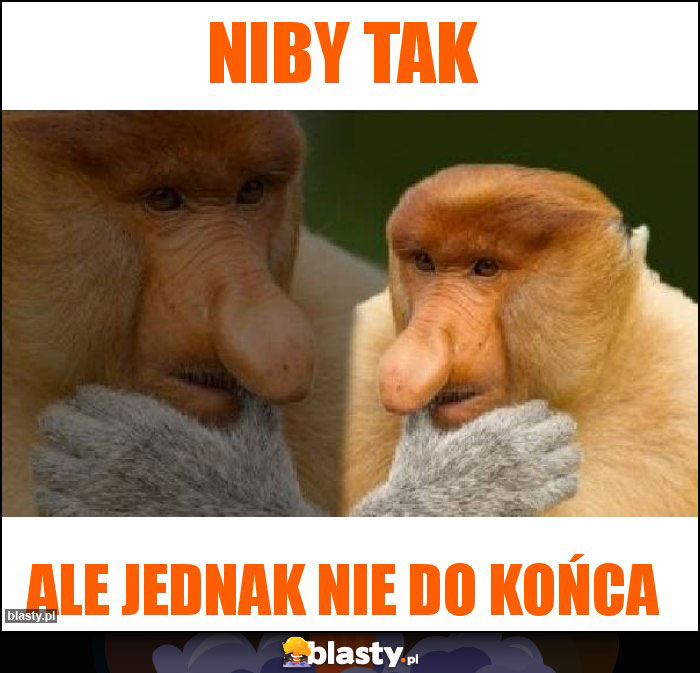 niby tak
