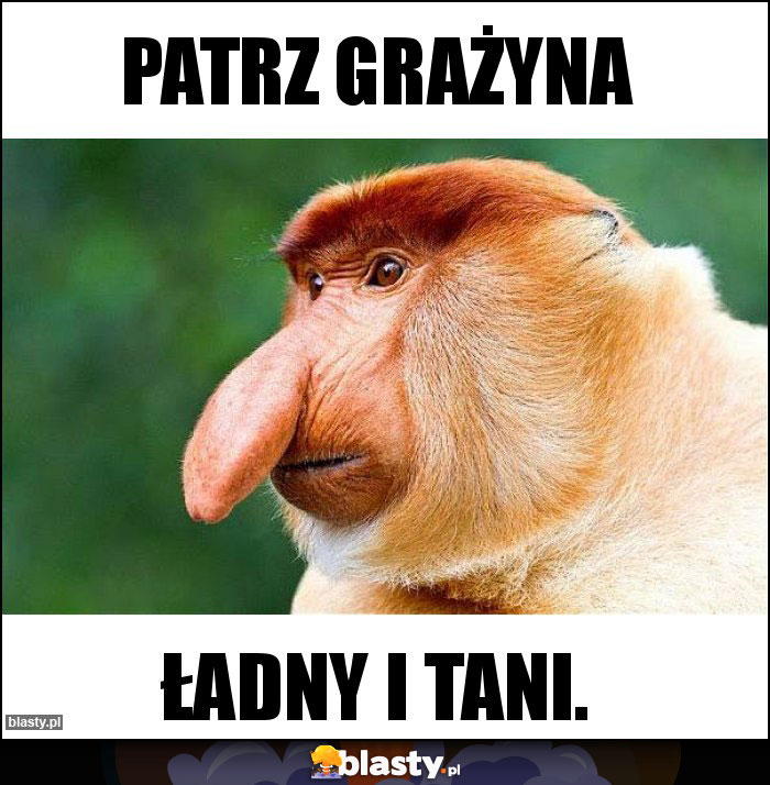 Patrz grażyna