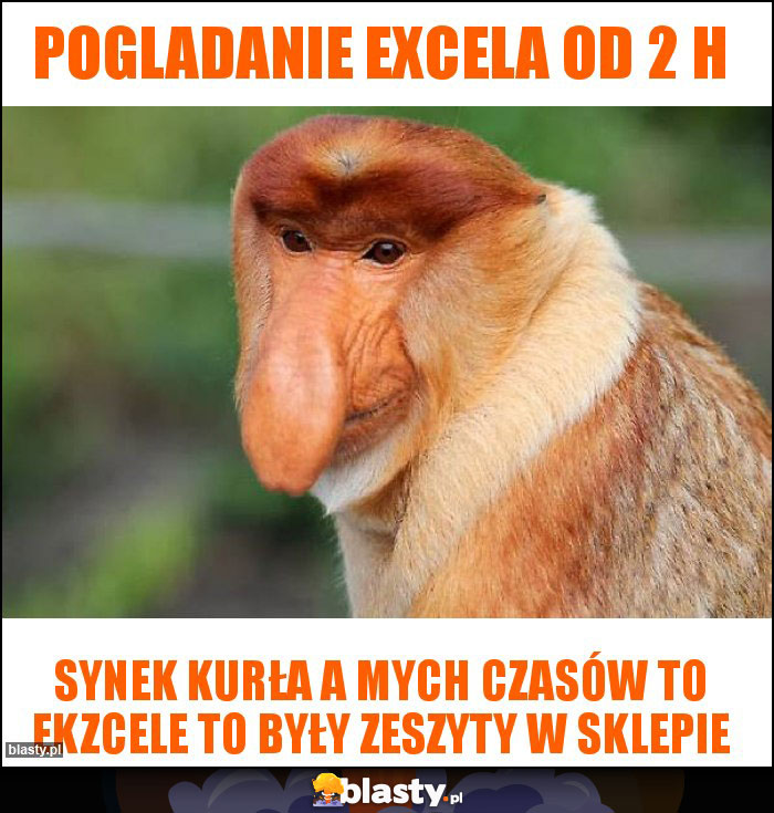 POgladanie excela od 2 h