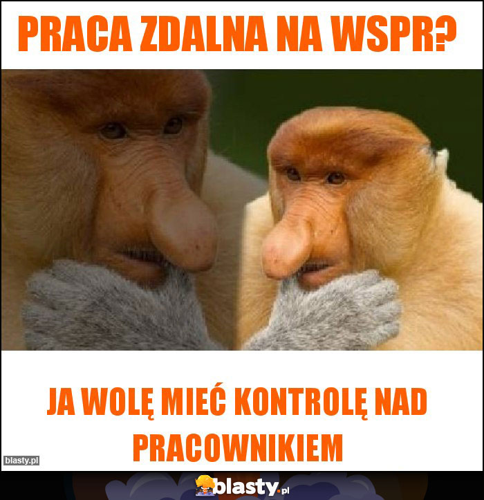 PRACA ZDALNA NA WSPR?