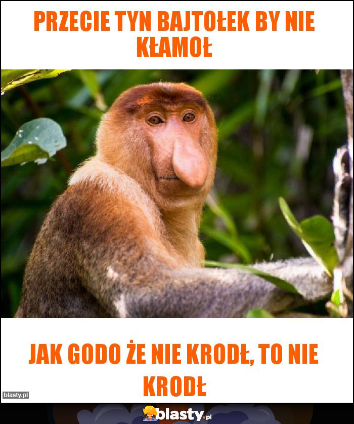 Przecie tyn Bajtołek by nie kłamoł