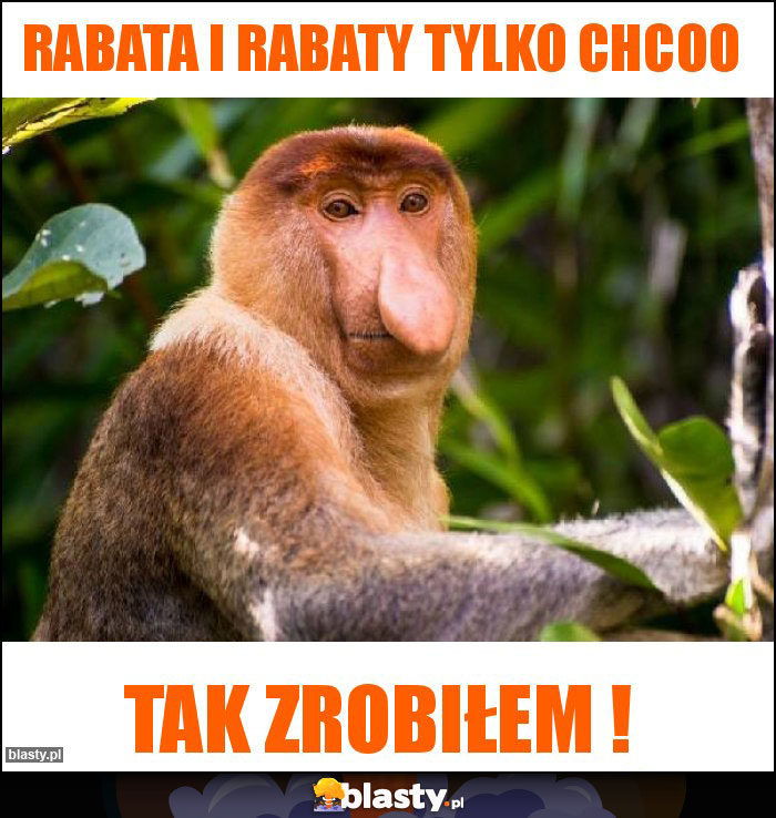 Rabata i rabaty tylko chcoo