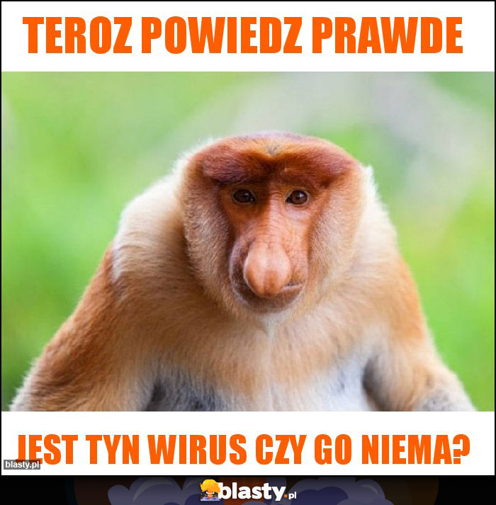 Teroz powiedz prawde