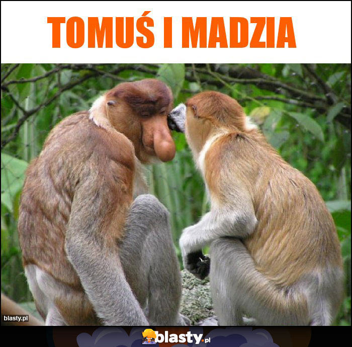 Tomuś i Madzia