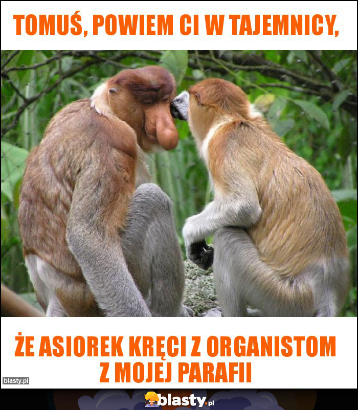 Tomuś, powiem Ci w tajemnicy,