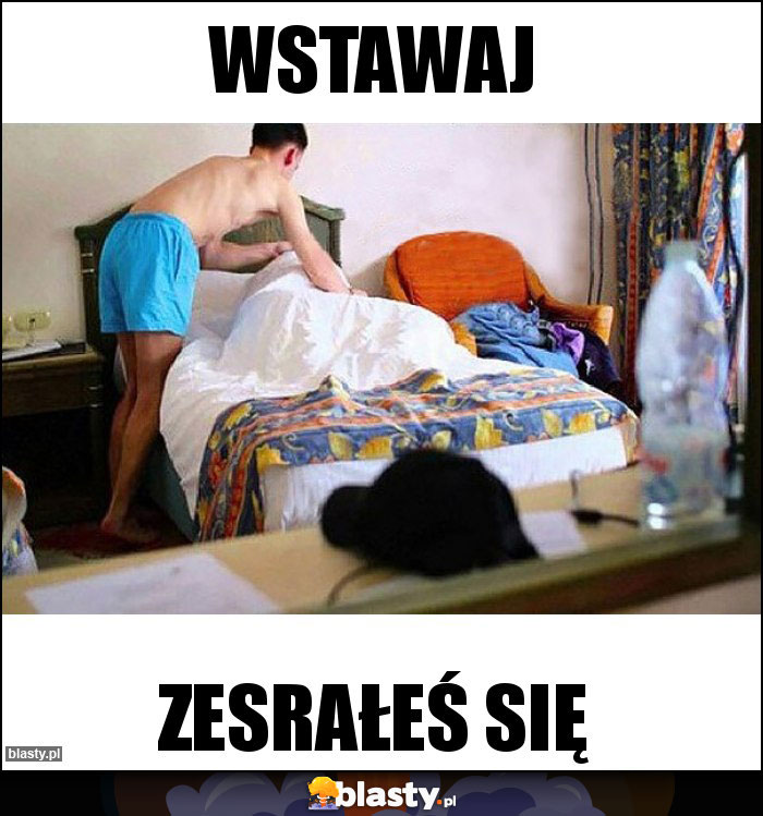 wstawaj