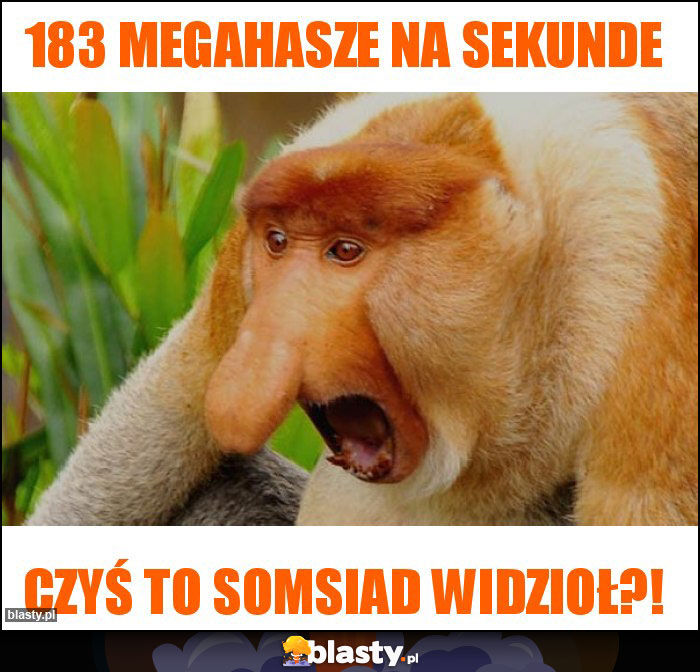 183 MEGAHASZE NA SEKUNDE
