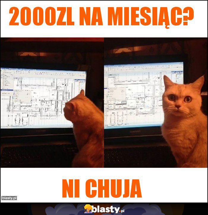 2000zl na miesiąc?