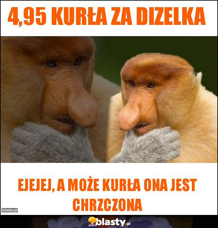 4,95 kurła za dizelka