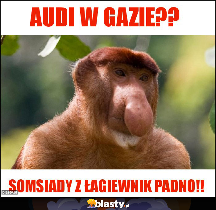 Audi w gazie??
