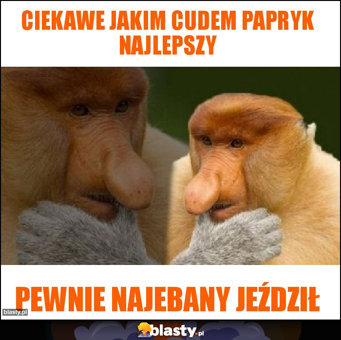 Ciekawe jakim cudem Papryk Najlepszy