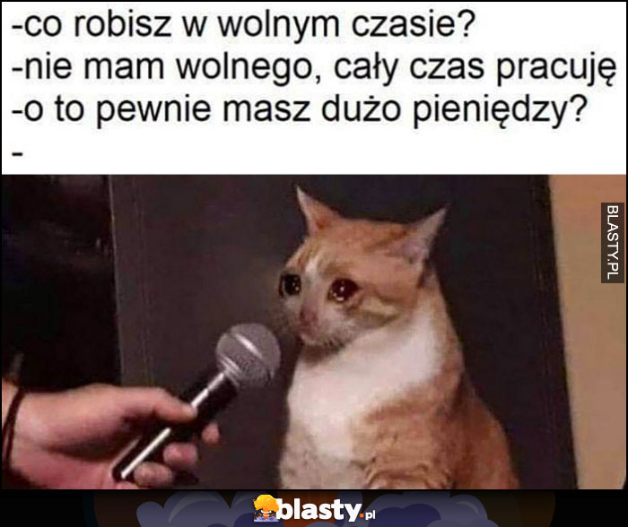 Co robisz w wolnym czasie? Cały czas pracuję, o to pewnie masz dużo pieniędzy kot płacze