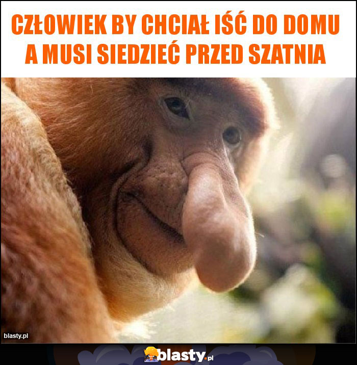 Człowiek by chciał iść do domu a musi siedzieć przed szatnia