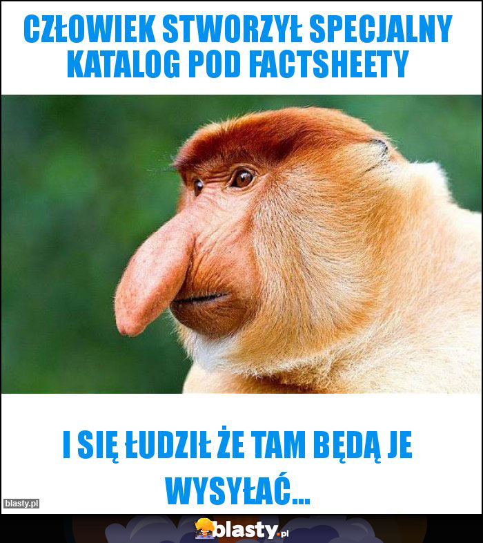 Człowiek stworzył specjalny katalog pod factsheety