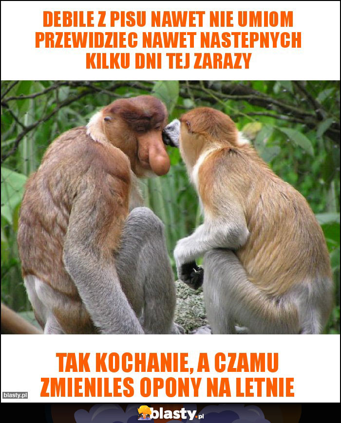 Debile z pisu nawet nie umiom przewidziec nawet nastepnych kilku dni tej zarazy