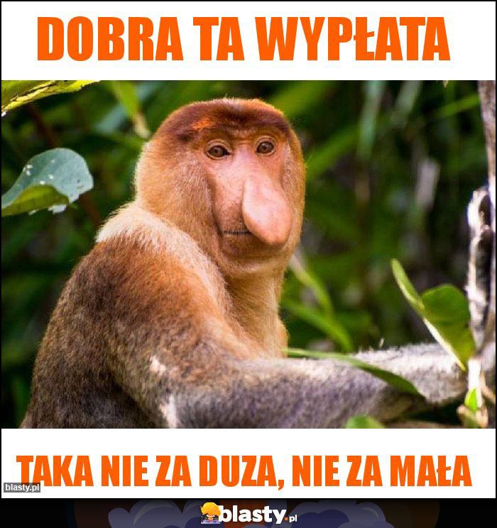 DOBRA TA WYPŁATA