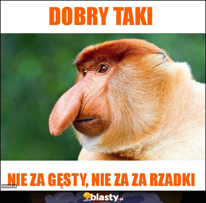 DOBRY TAKI