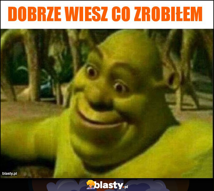 dobrze wiesz co zrobiłem