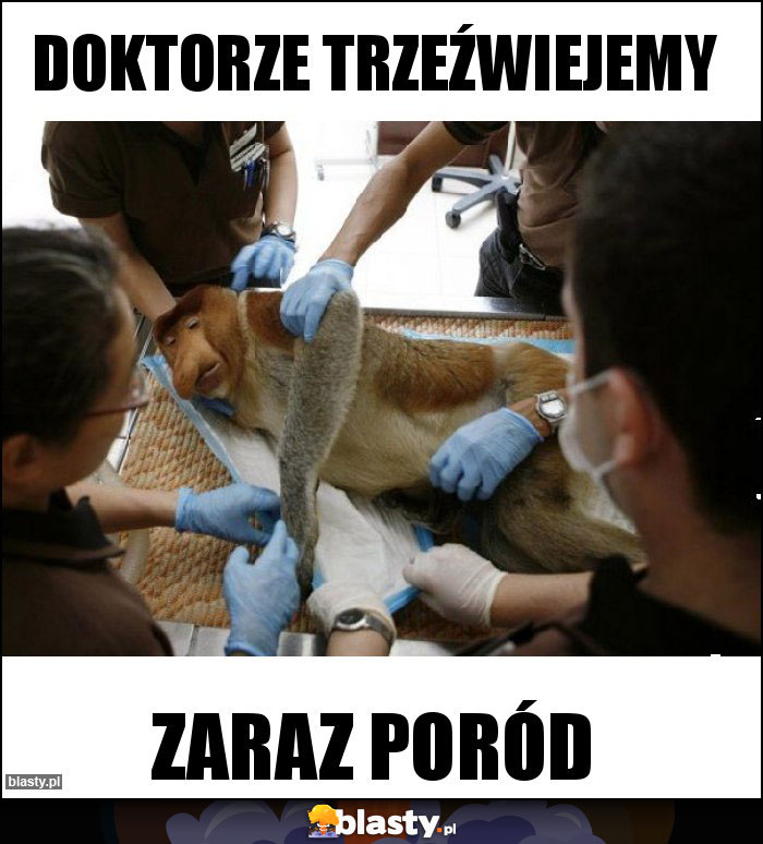 Doktorze trzeźwiejemy