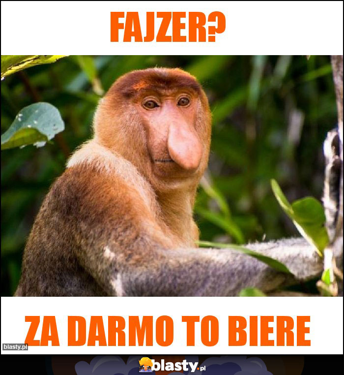 Fajzer?