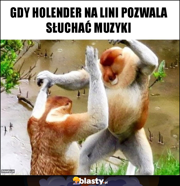 Gdy Holender na lini pozwala słuchać muzyki